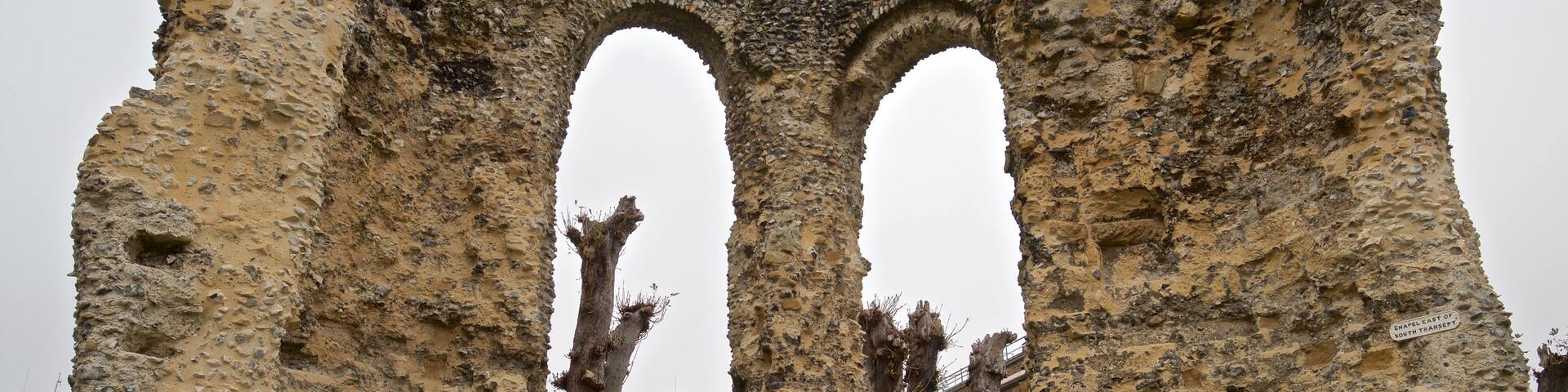 Reading Abbey Ruins featuring a ruin