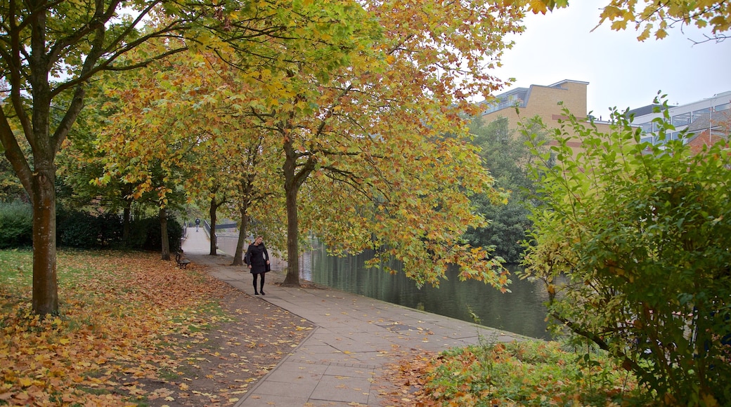 Kennet & Avon Canal featuring a garden and autumn leaves as well as an individual female