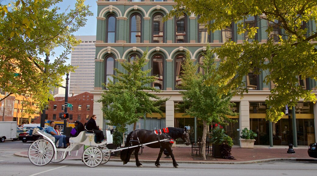 Louisville mostrando animales terrestres, elementos del patrimonio y equitación