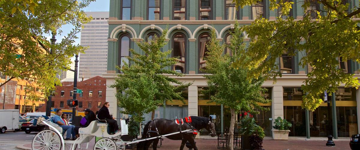 Louisville das einen Landtiere, Reiten und Geschichtliches