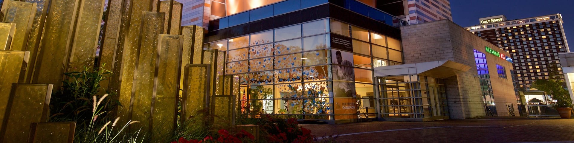 Musée Muhammad Ali Center montrant scènes de nuit et architecture moderne