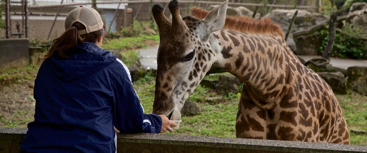 Louisville Zoo featuring land animals and zoo animals as well as an individual female