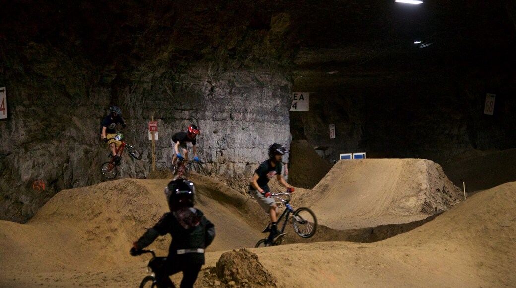 Louisville Mega Cavern mostrando cenas noturnas, mountain bike e um evento desportivo