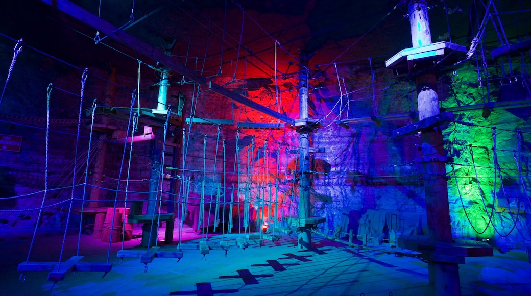 Louisville Mega Cavern mostrando cuevas