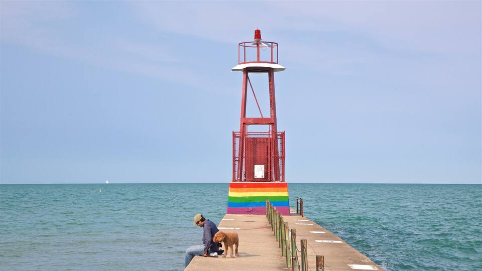 Kathy Osterman Beach which includes general coastal views and cuddly or friendly animals as well as an individual male