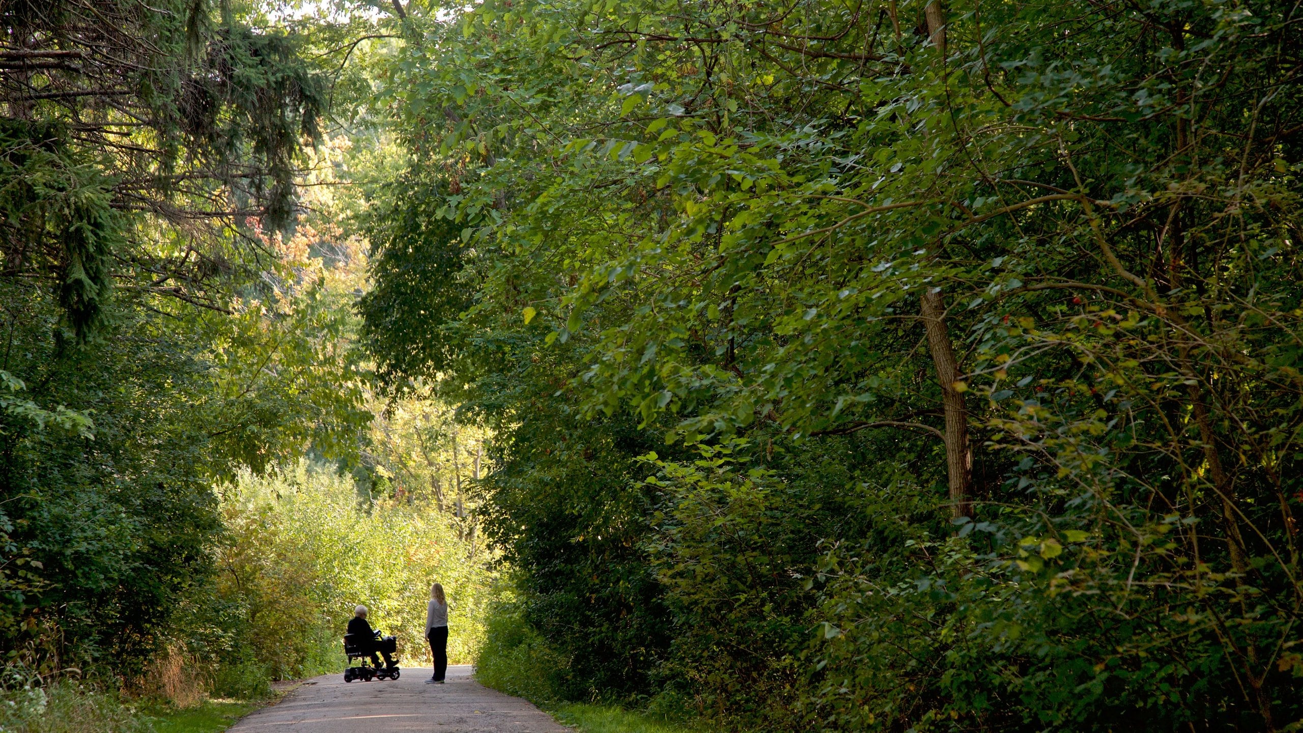 Schaumburg showing forests as well as a couple