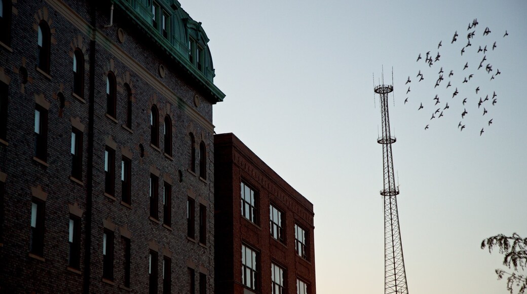 Bloomington featuring a sunset, heritage elements and bird life