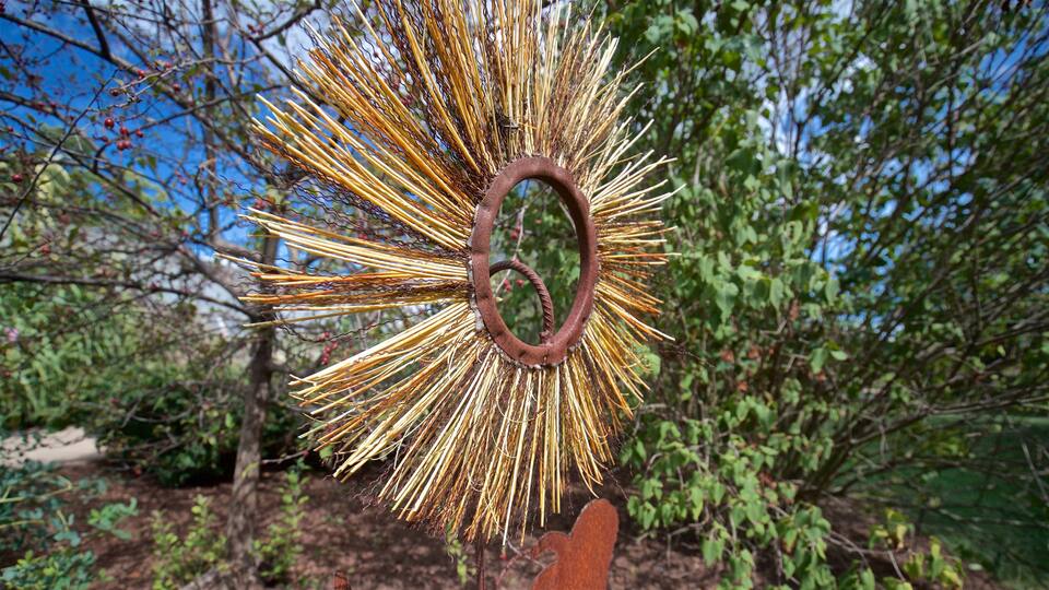Luthy Botanical Garden bevat kunst in de open lucht