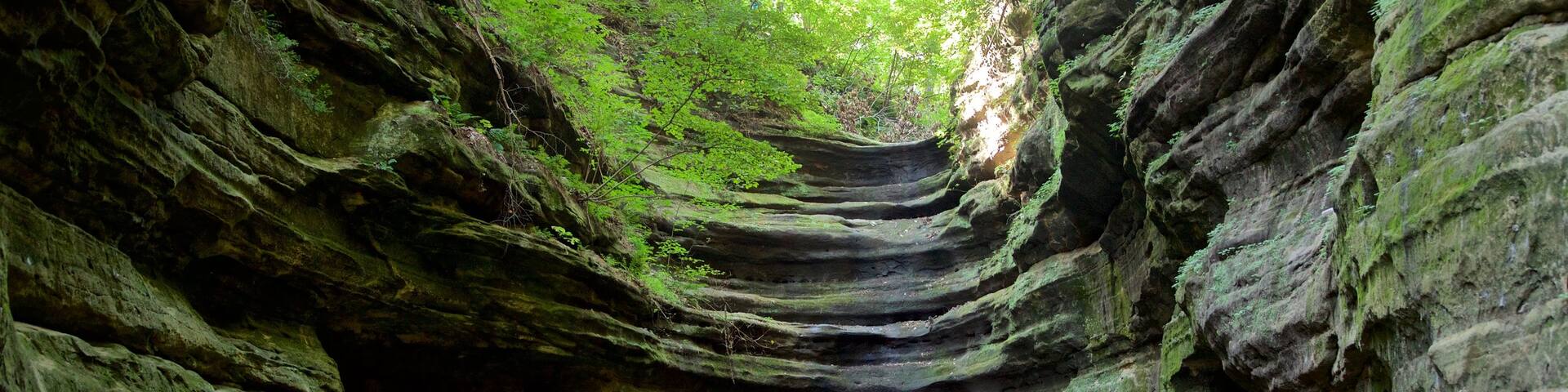 Starved Rock State Park which includes forest scenes as well as a couple