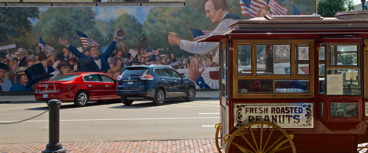 Northern Illinois showing signage and outdoor art