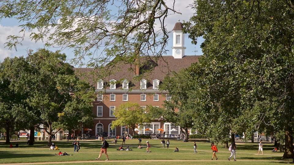 Champaign featuring a park as well as a small group of people