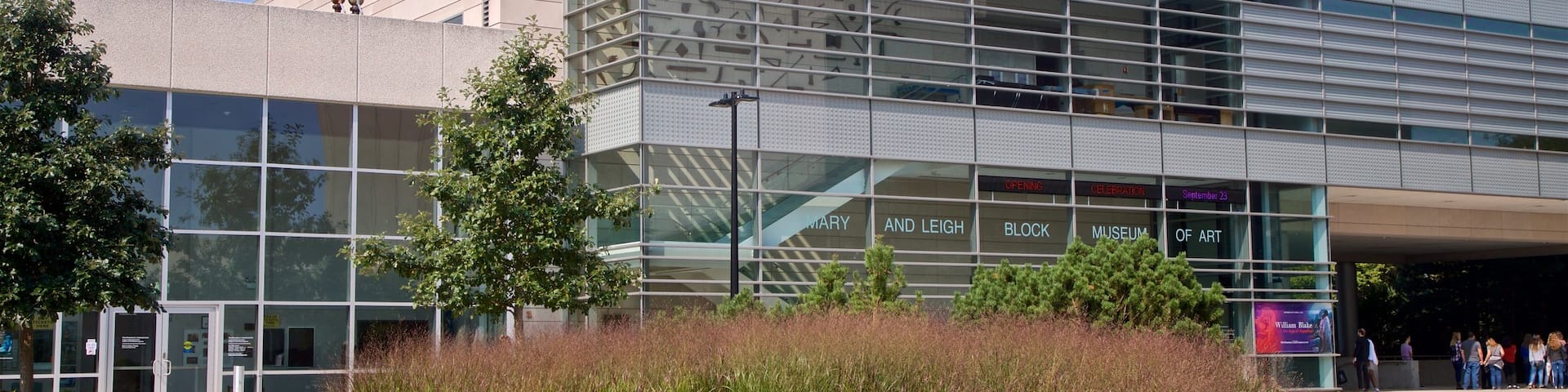 Mary and Leigh Block Museum of Art que incluye flores silvestres