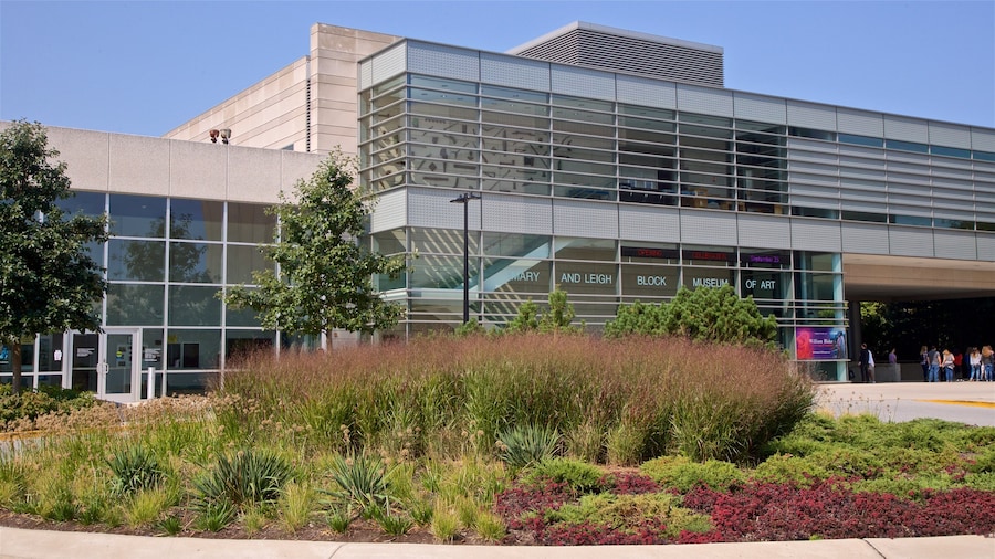 Mary and Leigh Block Museum of Art bevat wilde bloemen