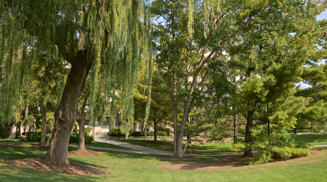 Mary and Leigh Block Museum of Art showing a garden