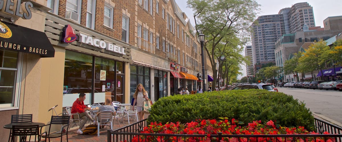 Evanston mostrando flores