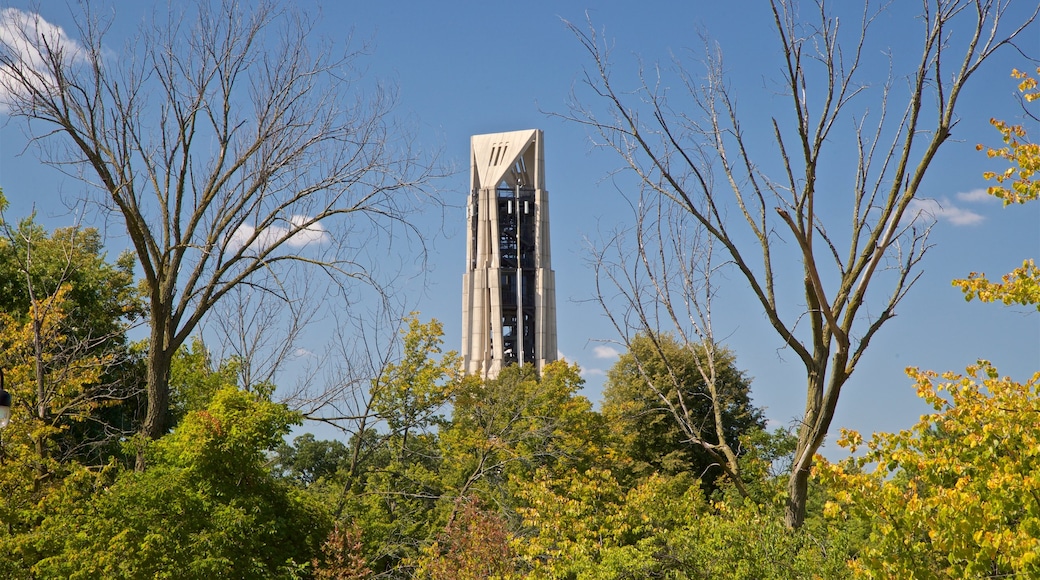 Moser Tower and Millennium Carillon showing a high-rise building