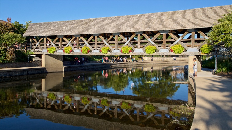 Naperville mostrando un río o arroyo y un puente