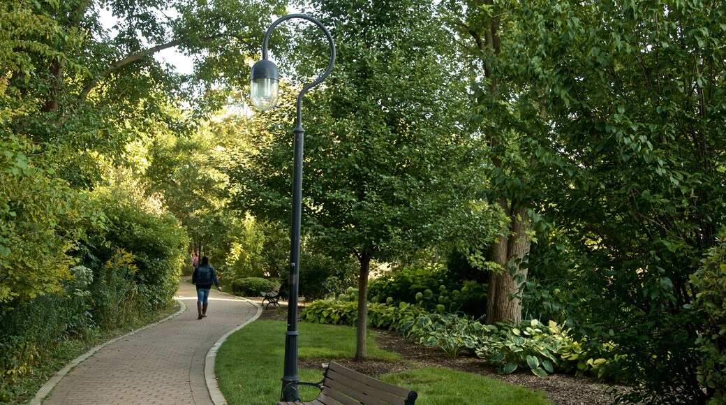 Naperville showing hiking or walking and a garden as well as an individual female