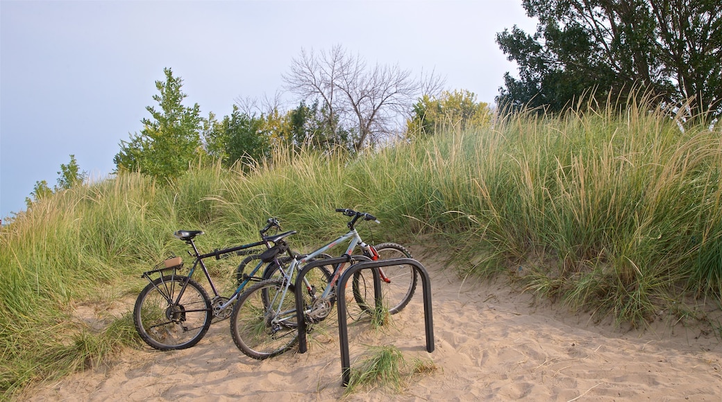 Kathy Osterman Beach which includes a beach