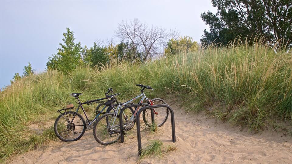 Kathy Osterman Beach showing a beach