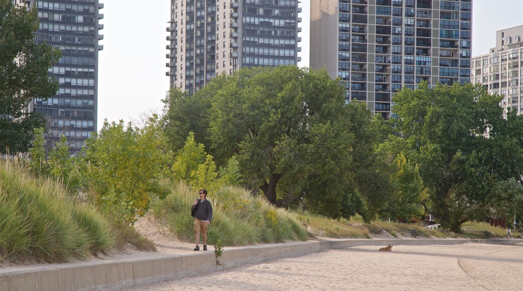 Kathy Osterman Beach showing a beach, a coastal town and a city