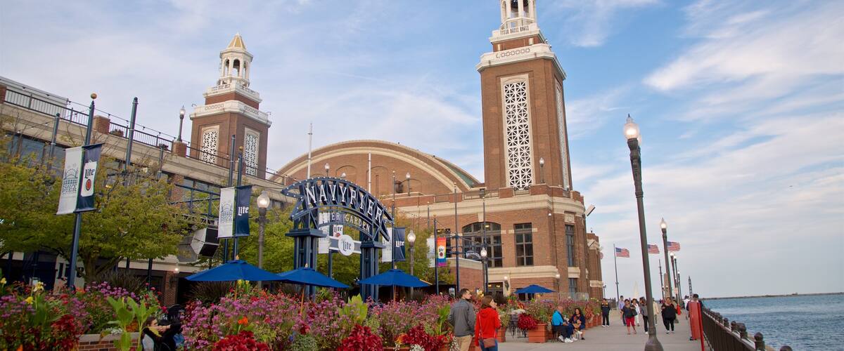 Navy Pier mostrando flores silvestres y vistas generales de la costa y también una pareja