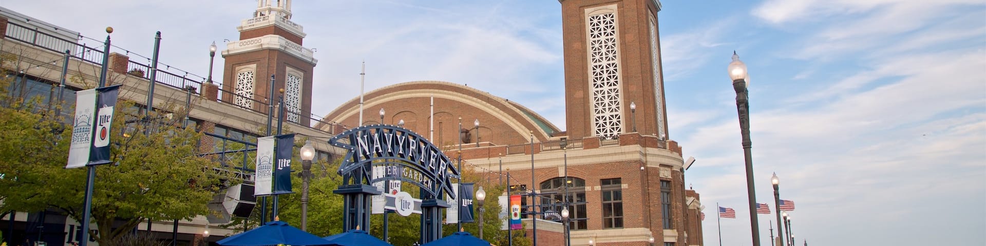 Navy Pier featuring general coastal views and wildflowers as well as a couple