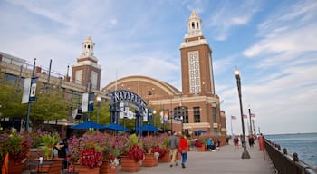 Navy Pier qui includes fleurs sauvages et vues littorales aussi bien que couple