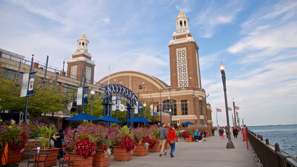 Navy Pier som omfatter vilde blomster og udsigt over kystområde såvel som et par