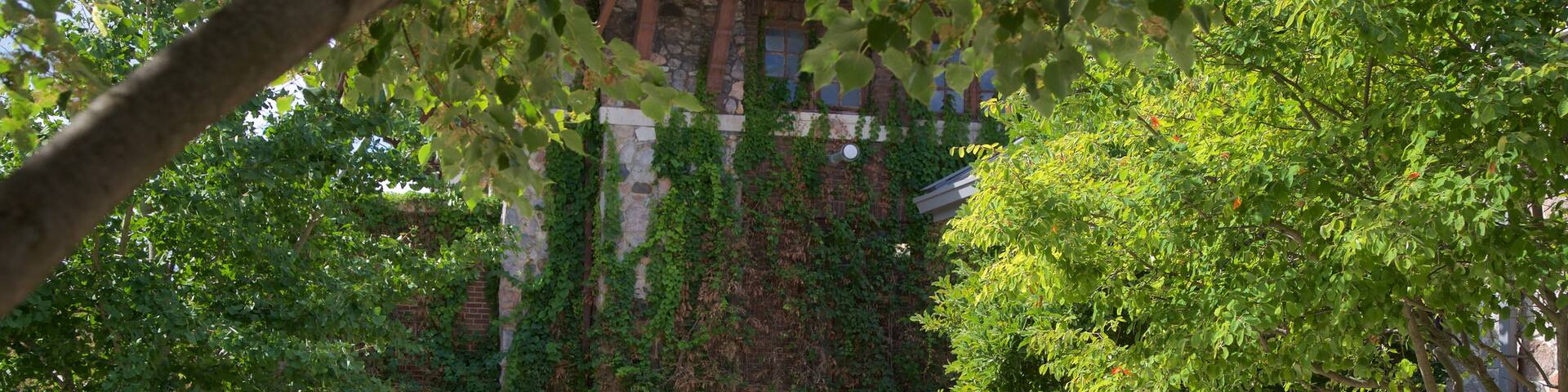 Miller Park Zoo which includes flowers and a garden