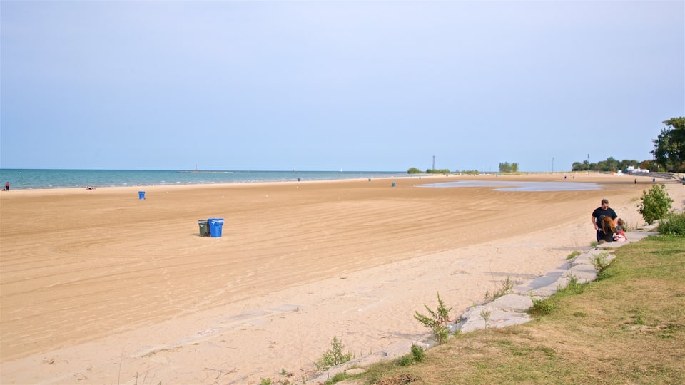 Montrose Beach showing a beach and general coastal views