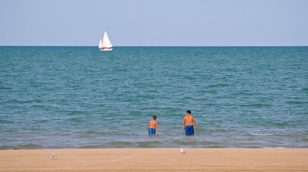 Spiaggia di Montrose mostrando spiaggia sabbiosa, nuoto e vista della costa