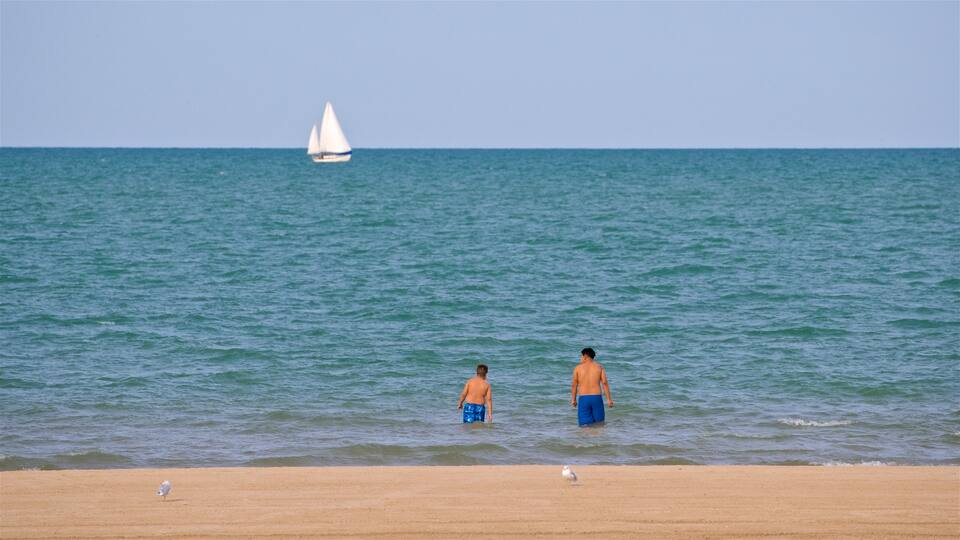 Montrose Beach featuring swimming, general coastal views and a beach