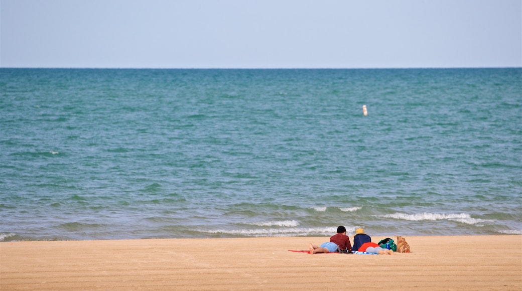 Montrose Beach which includes a sandy beach and general coastal views as well as a couple