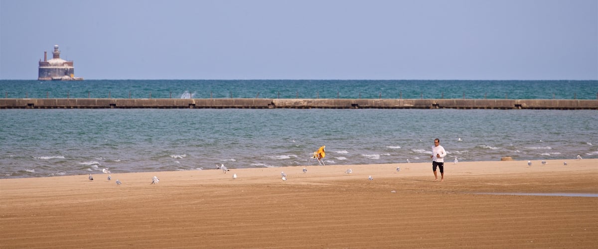 Montrose Beach featuring a beach and general coastal views as well as an individual male