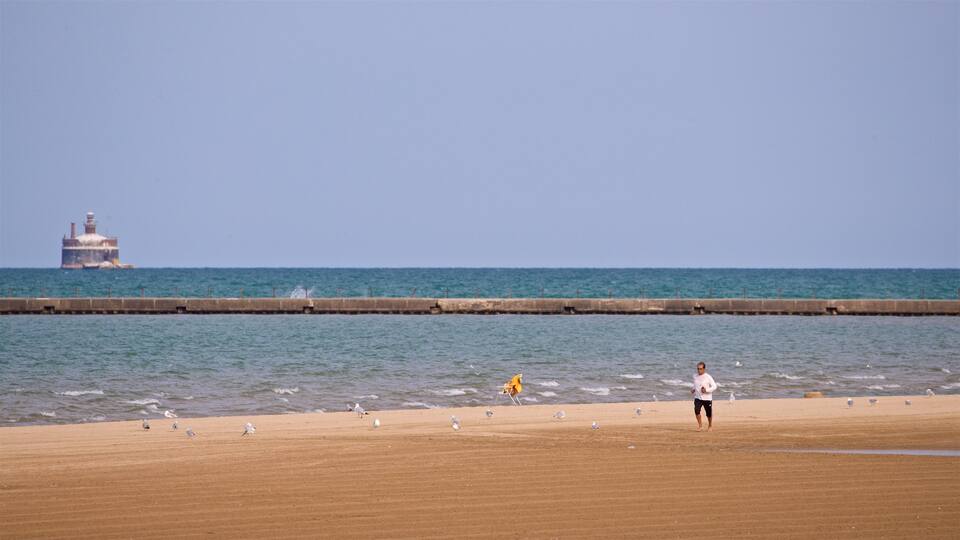 Montrose Beach featuring a beach and general coastal views as well as an individual male