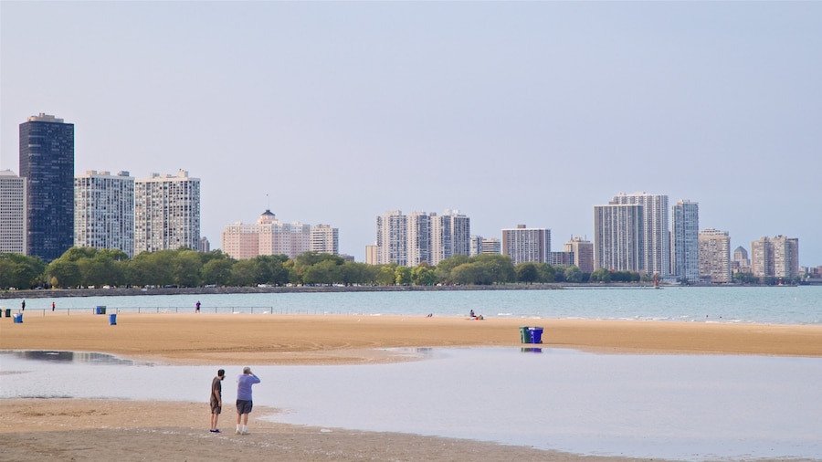 Spiaggia di Montrose mostrando località costiera, spiaggia e città