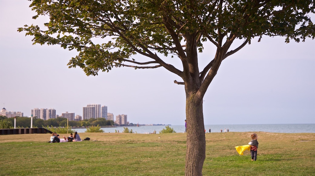 Montrose Beach featuring a garden and a coastal town as well as a small group of people