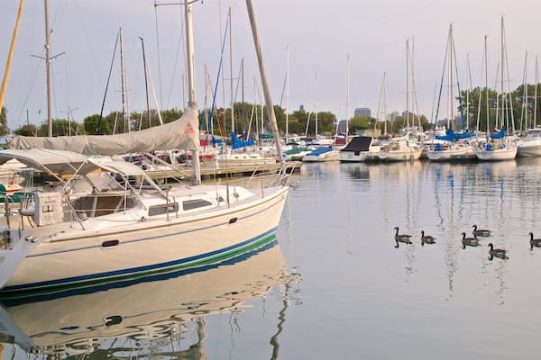Montrose Harbor showing a bay or harbour and bird life