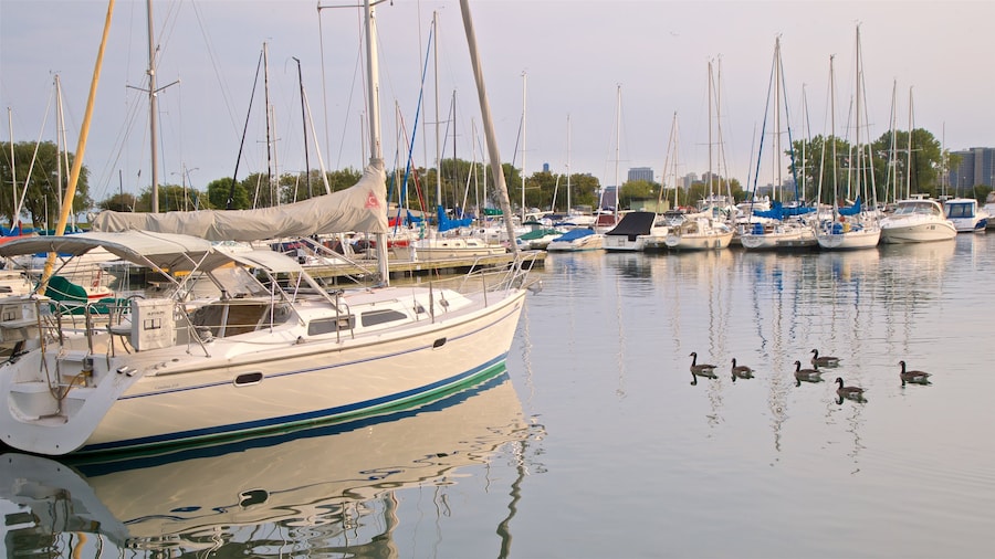 Porto di Montrose caratteristiche di baia e porto e volatili