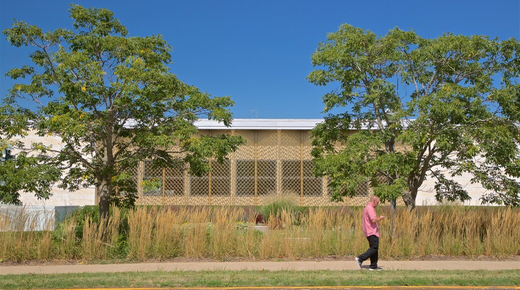 Krannert Art Museum which includes a garden as well as an individual male