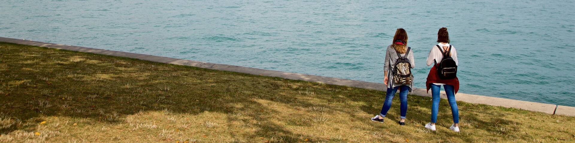 Northerly Island Park showing a bay or harbor and a city as well as a couple