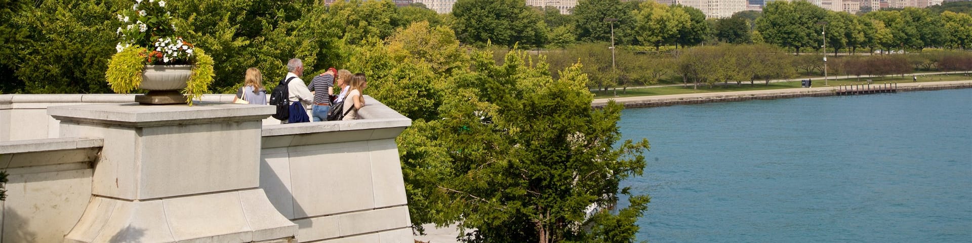 Northerly Island Park showing a city, a river or creek and views
