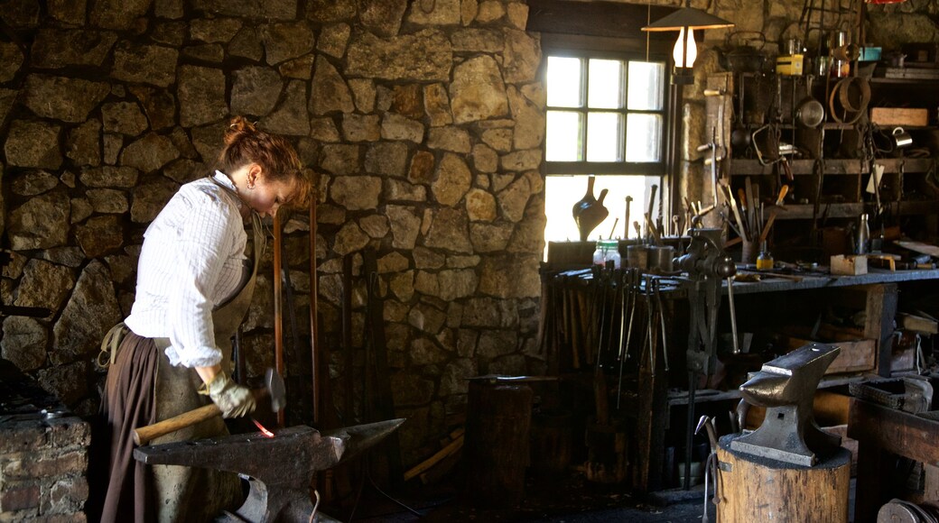 Naper Settlement Museum som inkluderar interiörer såväl som en kvinna