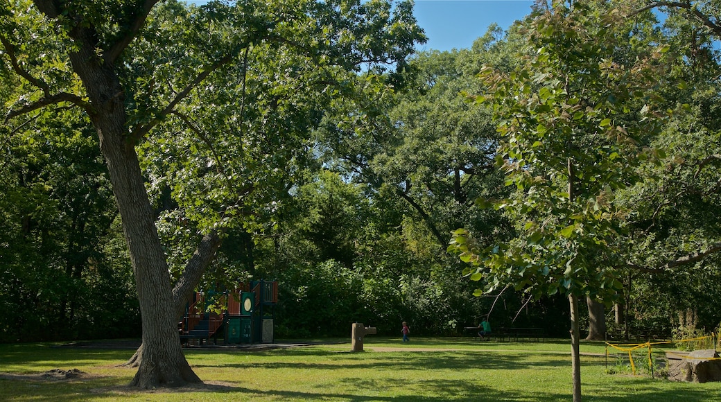 Buffalo Rock State Park showing a park