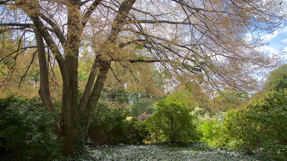 Luthy Botanical Garden inclusief een park