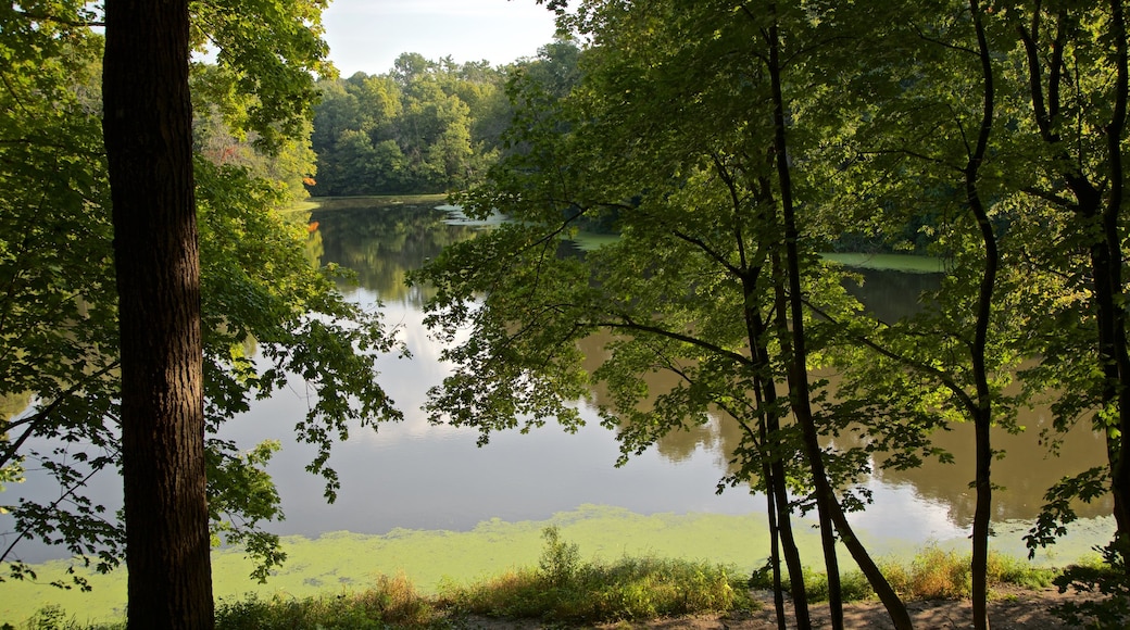 Matthiessen State Park showing a lake or waterhole