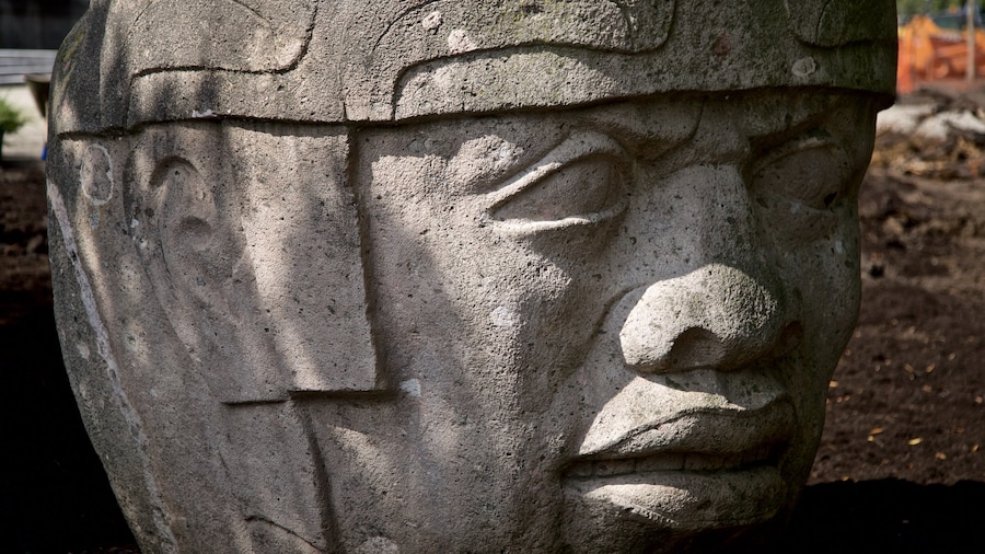 Olmec Head No 8 montrant art en plein air