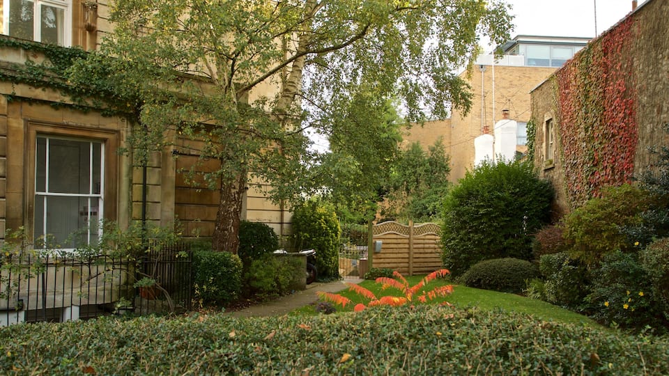 Clifton showing a garden and a house