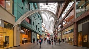 Cabot Circus Shopping Centre presenterar gatuliv och shopping såväl som en liten grupp av människor